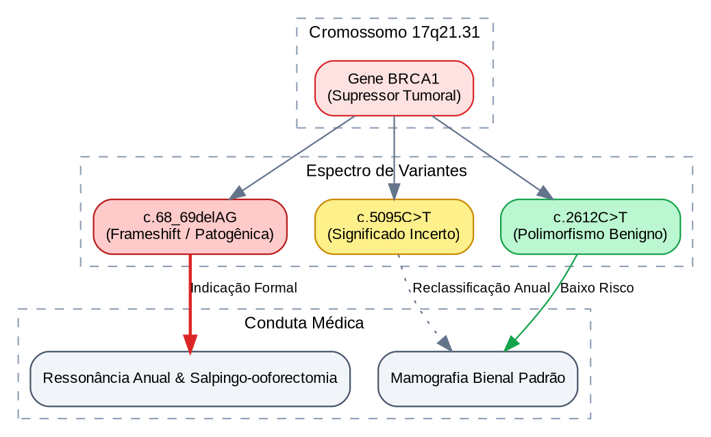 Resultado graphviz (Ontologia Genética com Clusters)