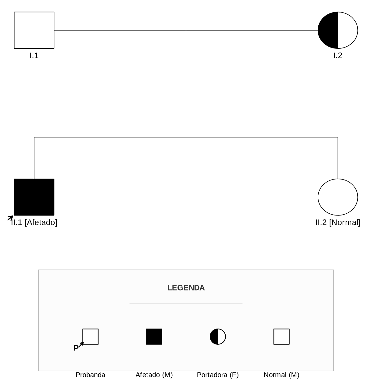 Resultado kinship2 (Probanda e Heterozigoto)