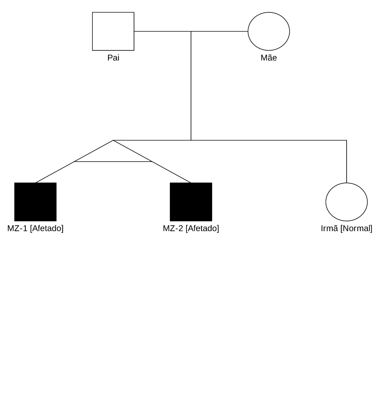 Resultado kinship2 (Gêmeos Monozigóticos)