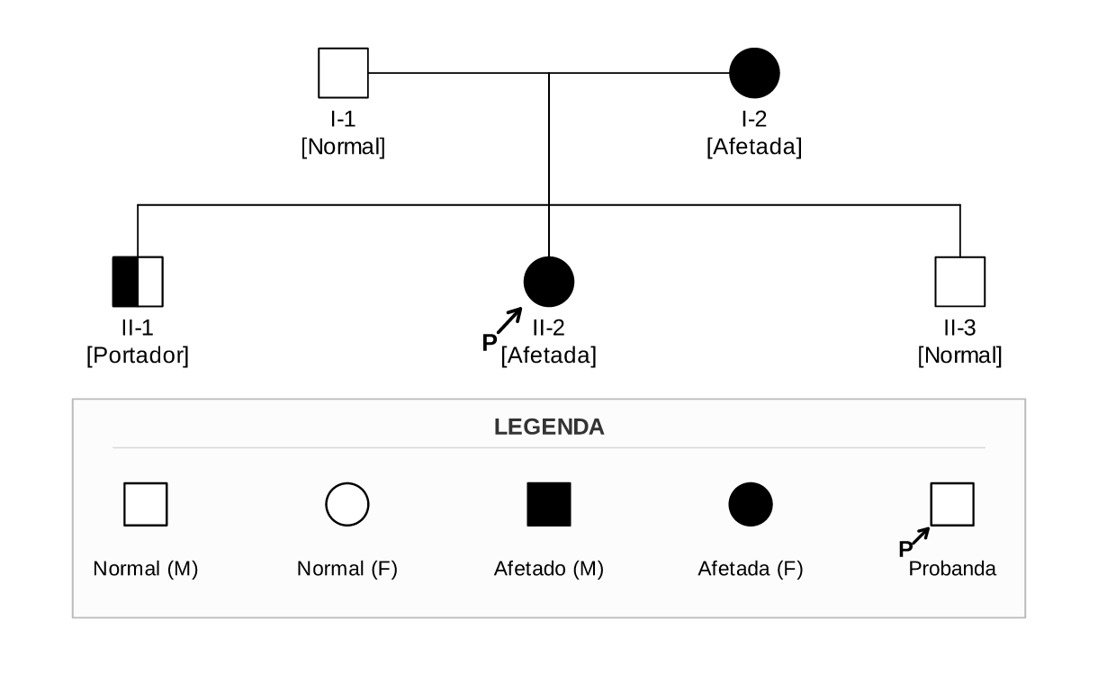 Resultado pedtools G2 (Segregação e Probanda)