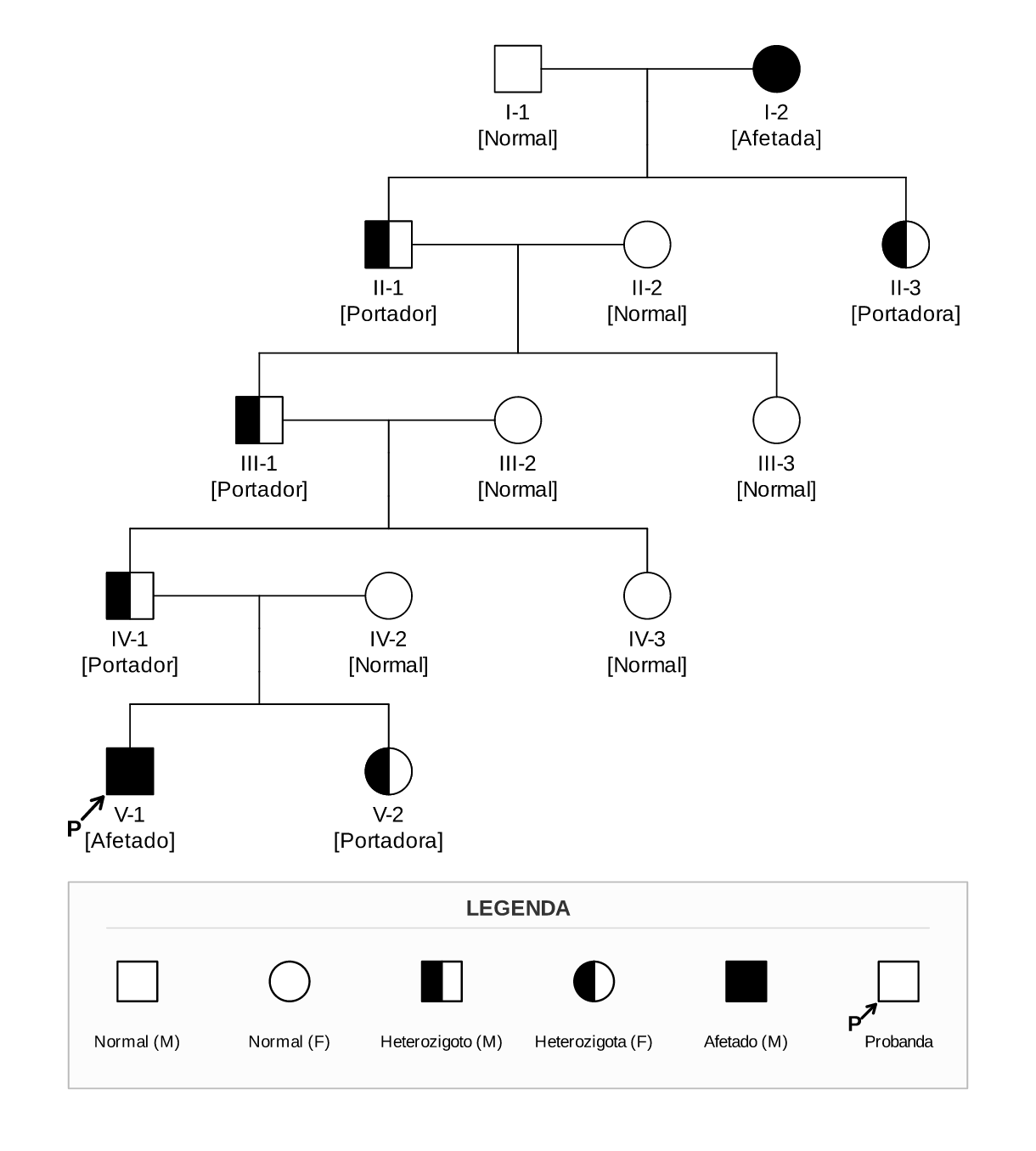 Resultado pedtools G5 (Linhagem Profunda)